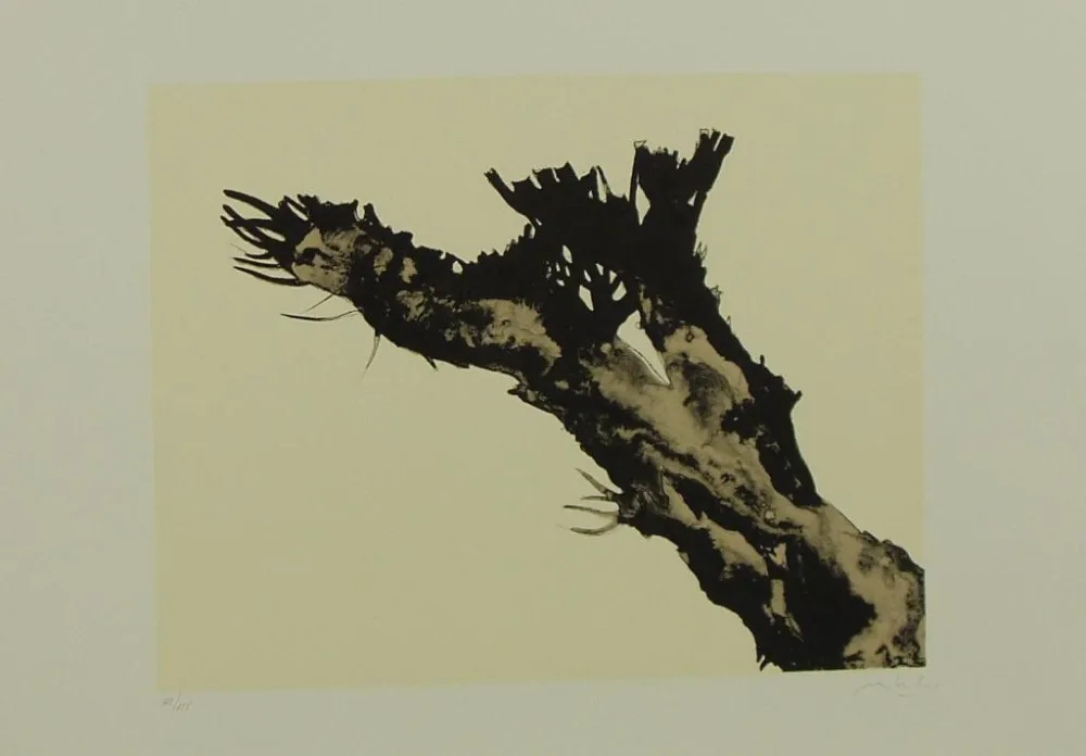 Litografía Mattioli - SENZA TITOLO