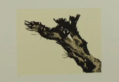 Litografía Mattioli - SENZA TITOLO