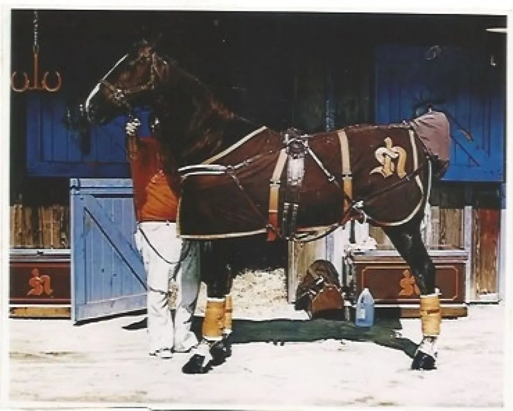 Litografía Mclean - Prim Style