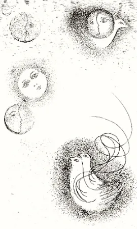 Libro Ilustrado Melotti - Homage to Sextus Propertius