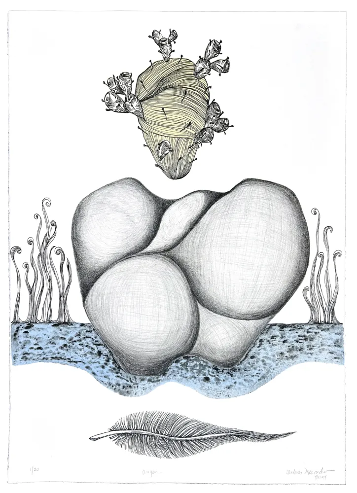 Litografía Mercado - Origen