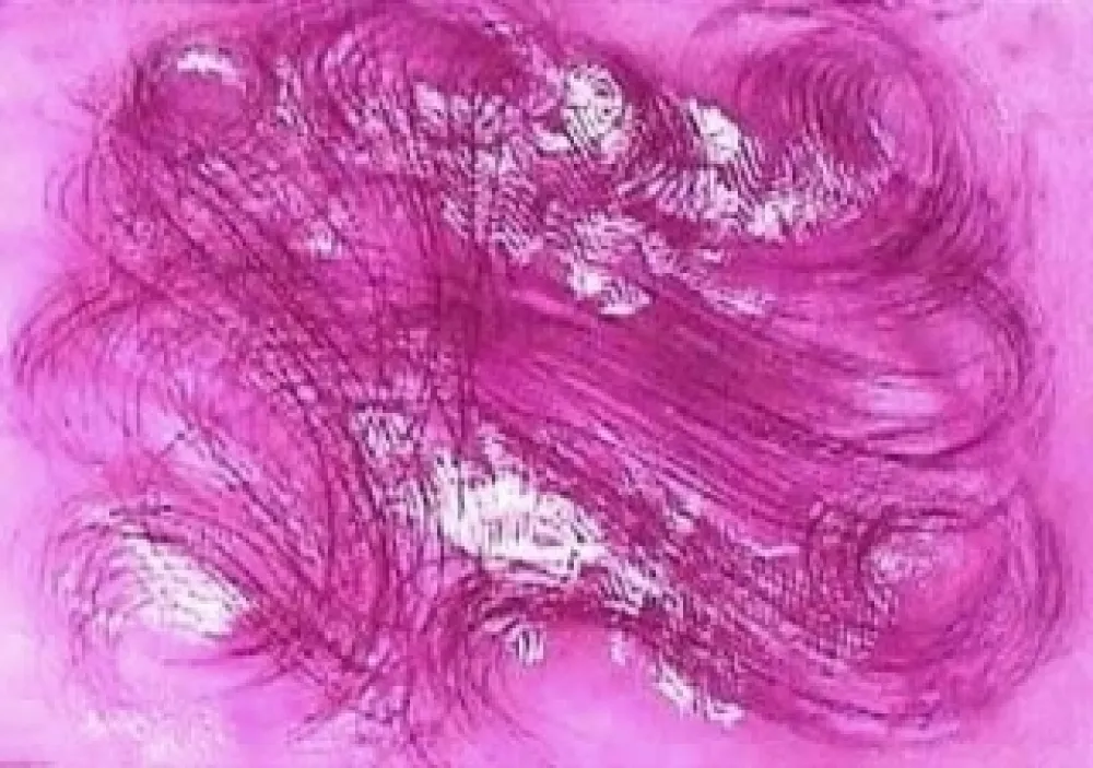 Aguafuerte Y Aguatinta Messagier - Les mangeurs de vent 