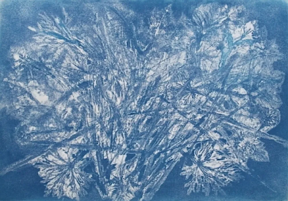 Aguafuerte Y Aguatinta Messagier -  Machine à Printemps 