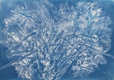 Aguafuerte Y Aguatinta Messagier -  Machine à Printemps 