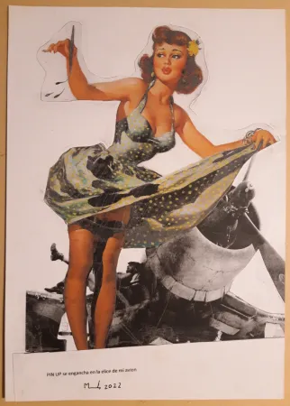 Sin Técnico Metras - PIN UP se engancha en la helice de mi avión