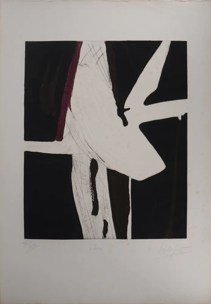 Grabado Meyer - L'âme