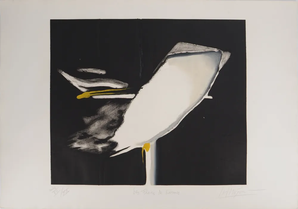 Grabado Meyer - Les Flots de Larmes