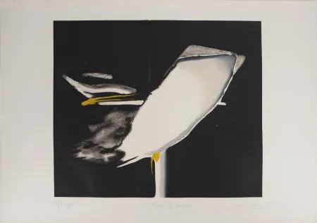 Grabado Meyer - Les Flots de Larmes