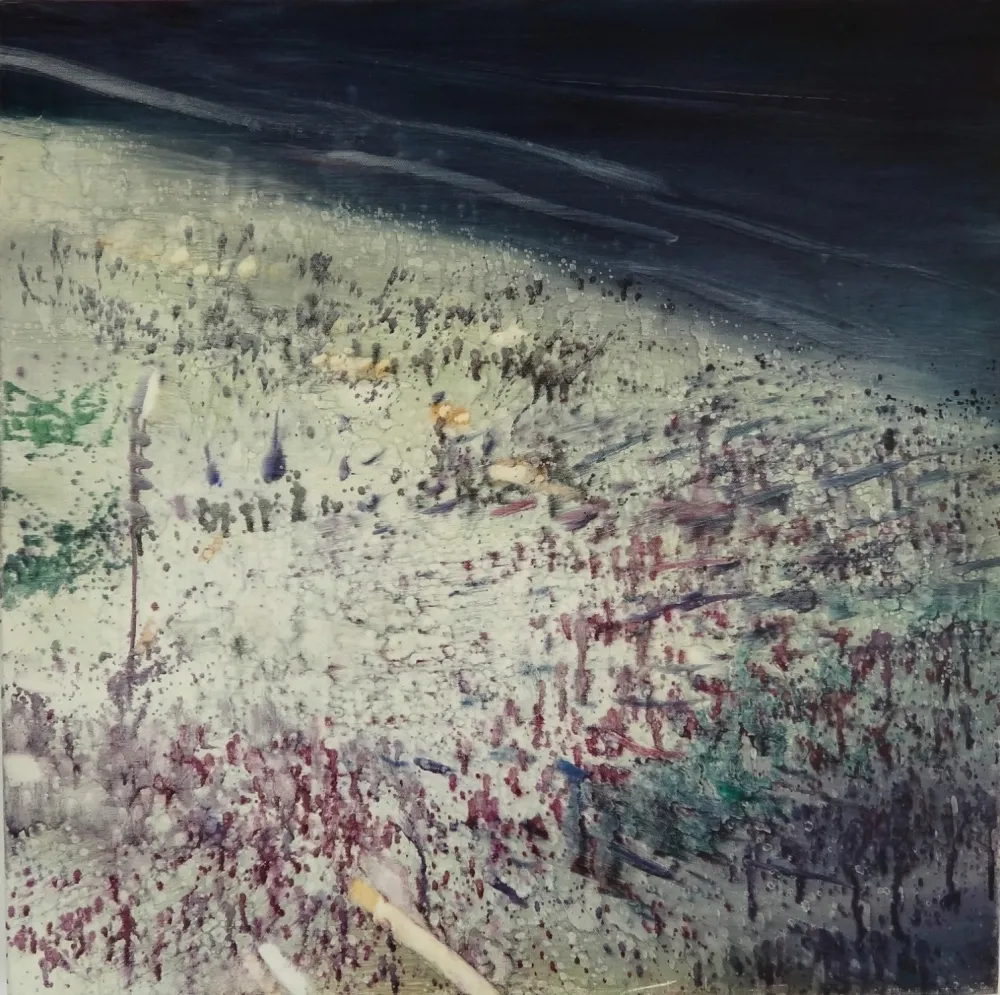 Sin Técnico Meyer - Rio Beach