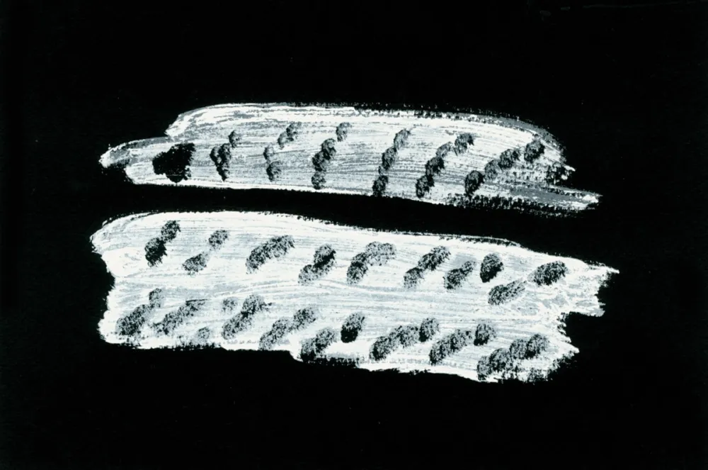 Libro Ilustrado Michaux - Comme un ensablement