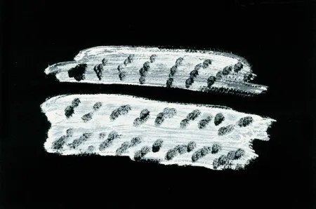 Libro Ilustrado Michaux - Comme un ensablement