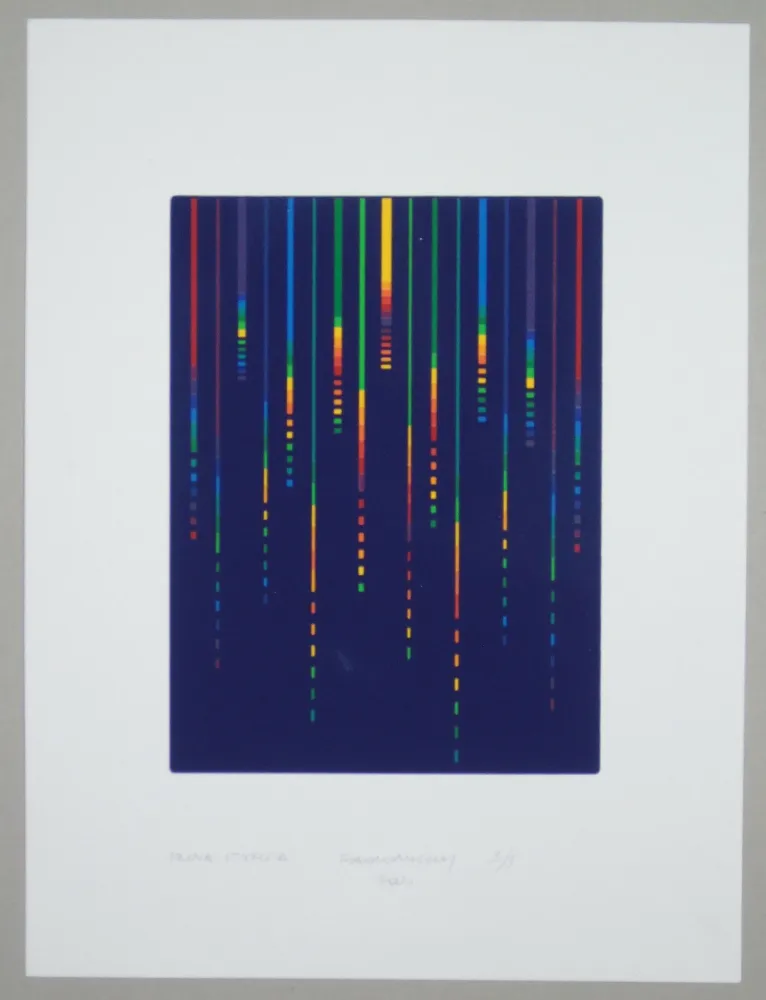 Serigrafía Minoli - Composizione (e)