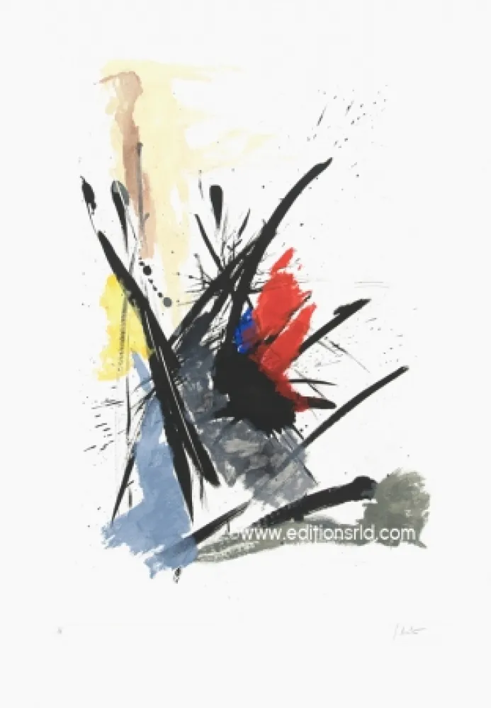 Aguafuerte Y Aguatinta Miotte - L'iroquois