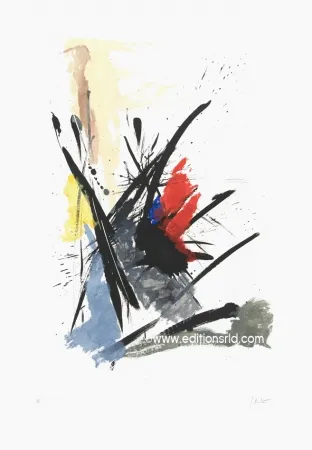 Aguafuerte Y Aguatinta Miotte - L'iroquois