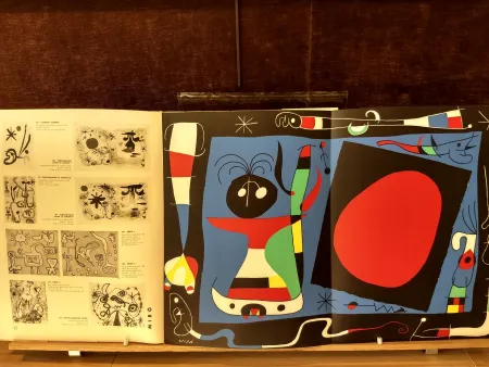 Libro Ilustrado Miró - 10 ans edition