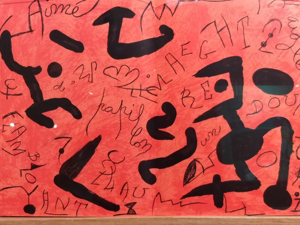 Libro Ilustrado Miró - DLM 250