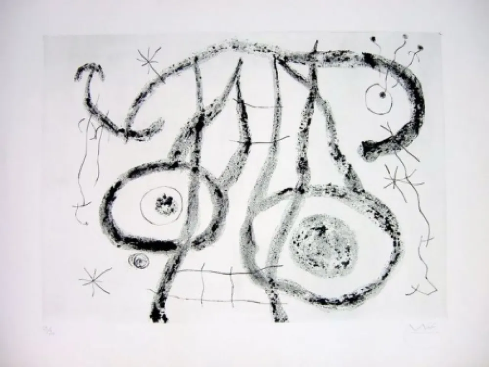 Punta Seca Miró - EL AGUADOR V