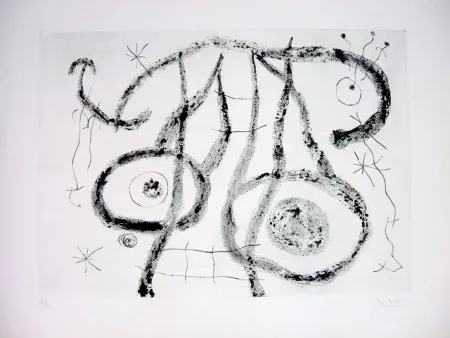 Punta Seca Miró - EL AGUADOR V