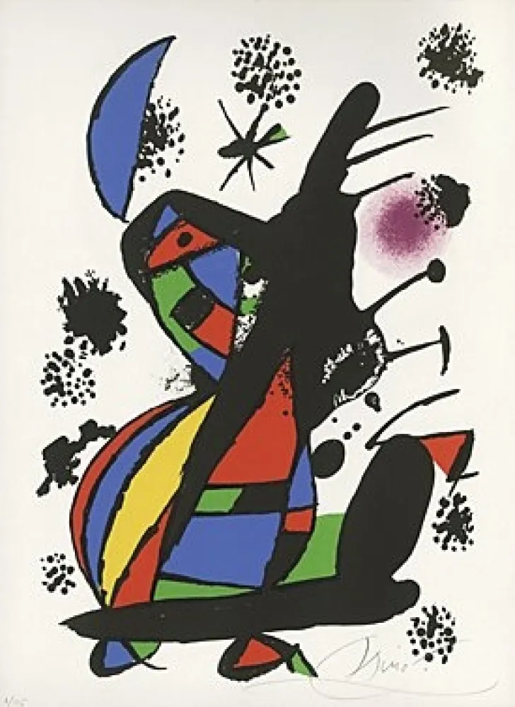 Libro Ilustrado Miró - 