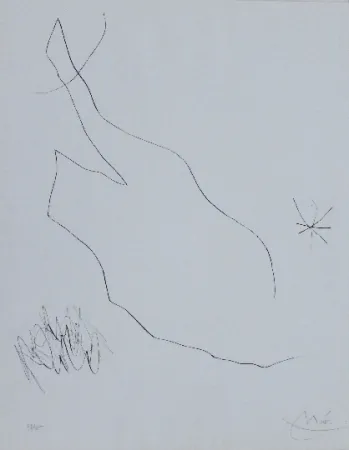 Punta Seca Miró - Journal d'un graveur 5