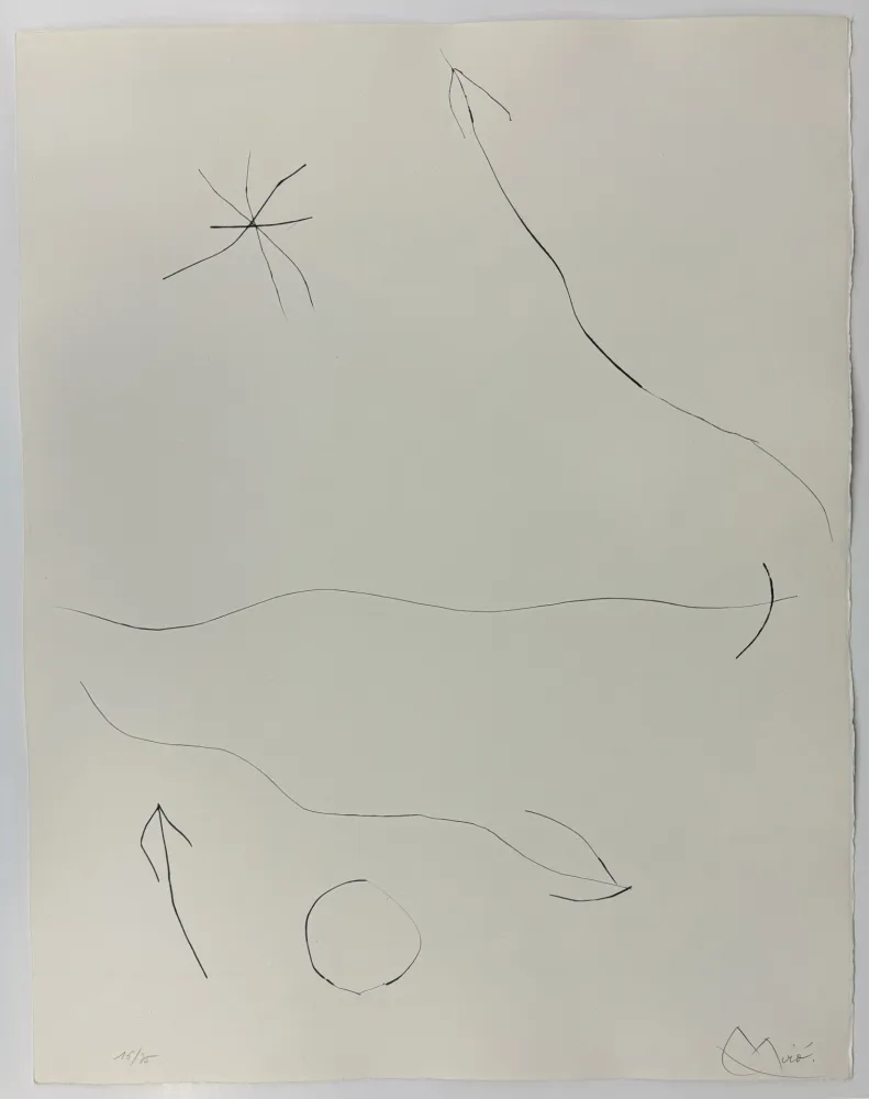 Punta Seca Miró - Journal d'un graveur II