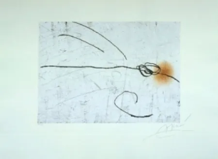 Aguafuerte Y Aguatinta Miró - Lapidari, Aquilinus