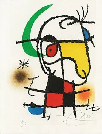 Libro Ilustrado Miró - 