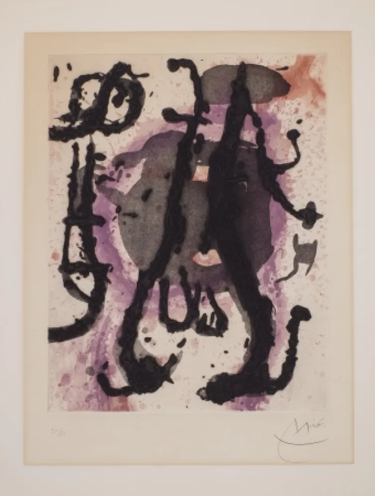 Sin Técnico Miró - Sumo