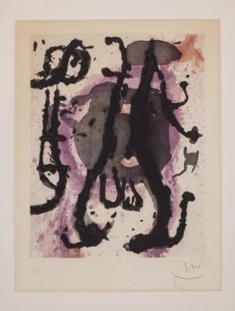 Sin Técnico Miró - Sumo