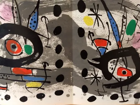 Libro Ilustrado Miró - Xxe No 28