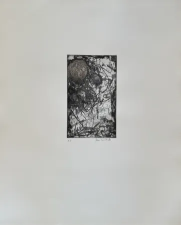 Aguafuerte Y Aguatinta Mitchell - Sunflower I