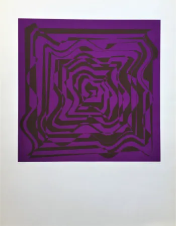 Serigrafía Molnar - Hyper transformation