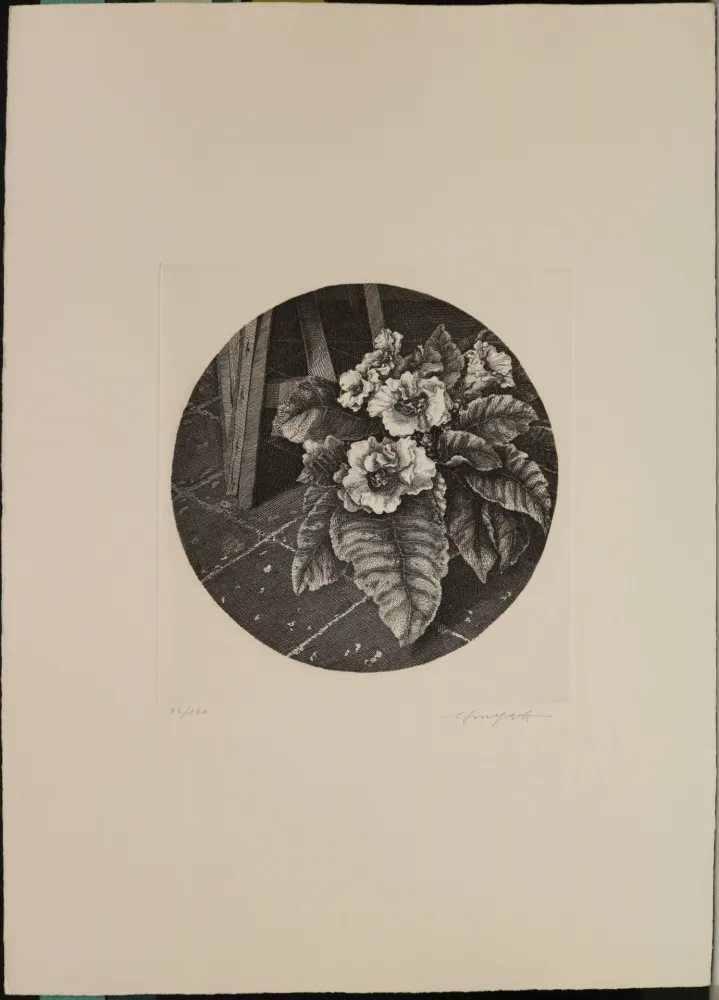 Aguafuerte Mongatti - Natura morta