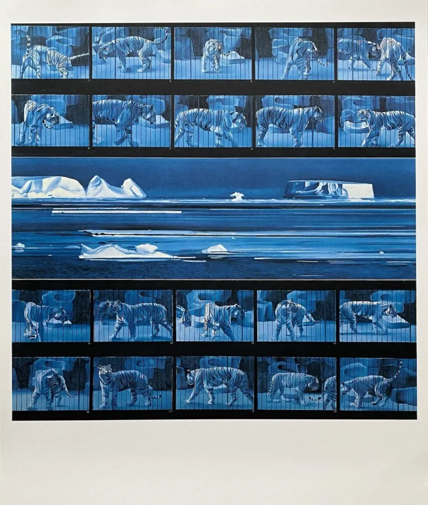 Cartel Monory - Dream tiger No 4