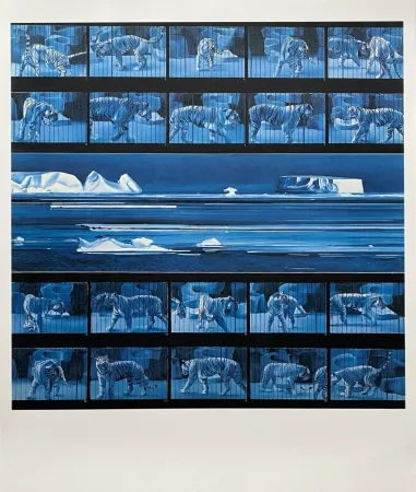 Cartel Monory - Dream tiger No 4