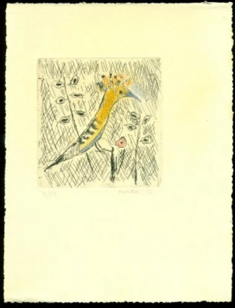 Aguafuerte Montale  - Senza titolo