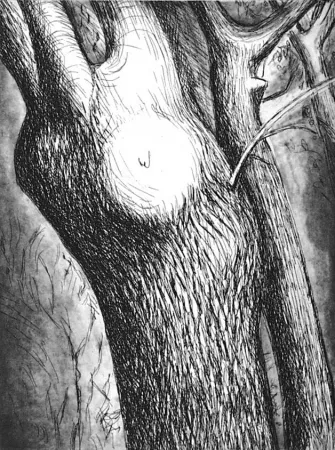 Aguafuerte Y Aguatinta Moore - Trees VI dead ash