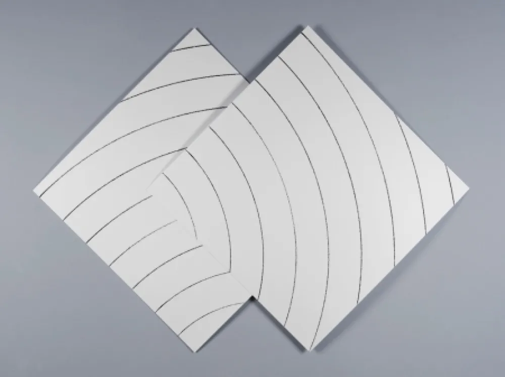 Serigrafía Morellet - Ondes parasites 2