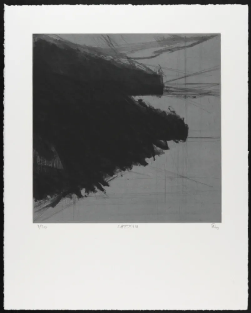 Grabado Moriette - CAT XVIII