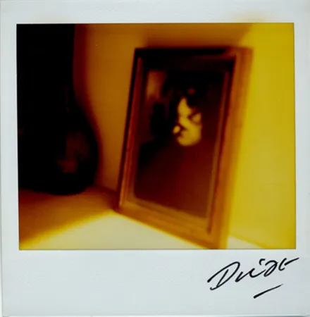Múltiple Moriyama - Bye-Bye Polaroid 10