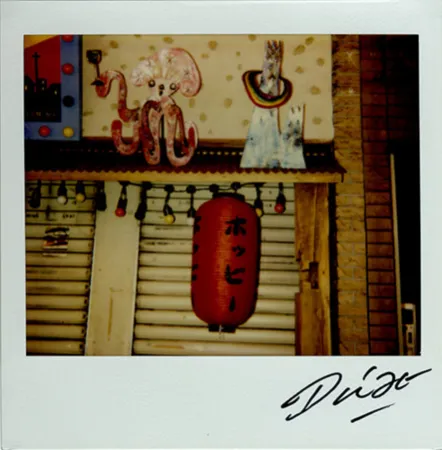 Múltiple Moriyama - Bye-Bye Polaroid 13