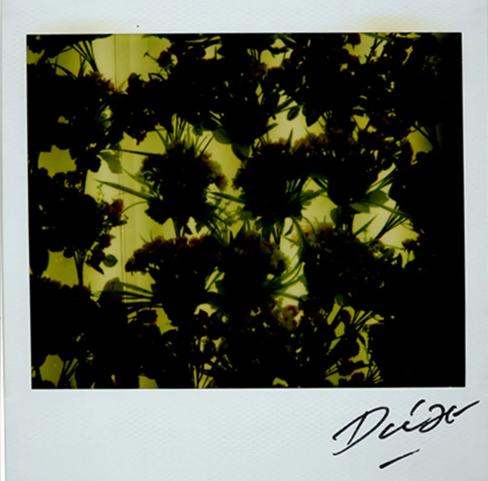 Múltiple Moriyama - Bye-Bye Polaroid 4