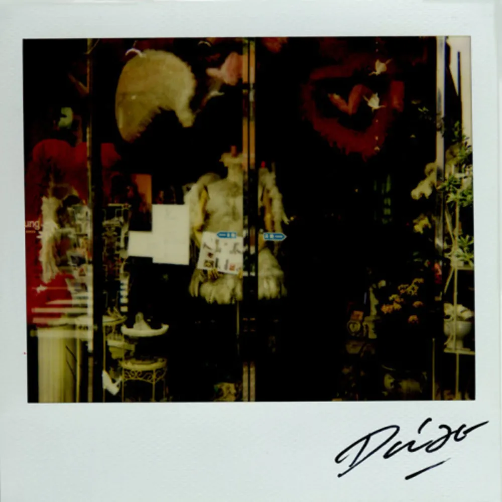 Múltiple Moriyama - Bye-Bye Polaroid 9