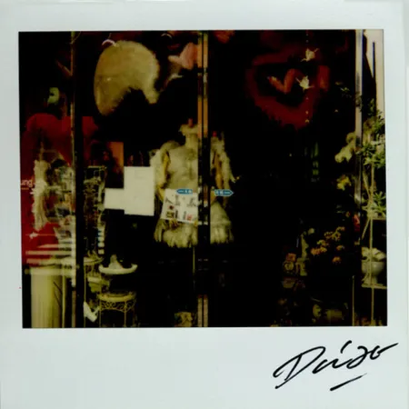 Múltiple Moriyama - Bye-Bye Polaroid 9