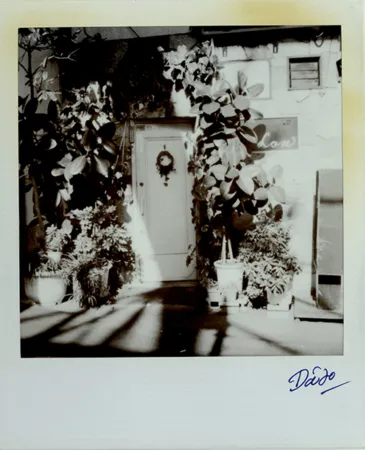 Múltiple Moriyama - Passage 3