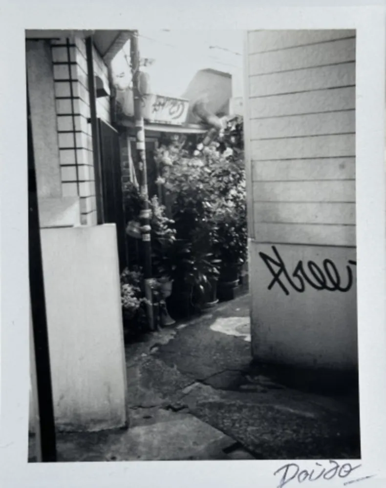 Múltiple Moriyama - Passage 4