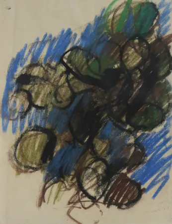 Sin Técnico Morlotti - FICHI D'INDIA