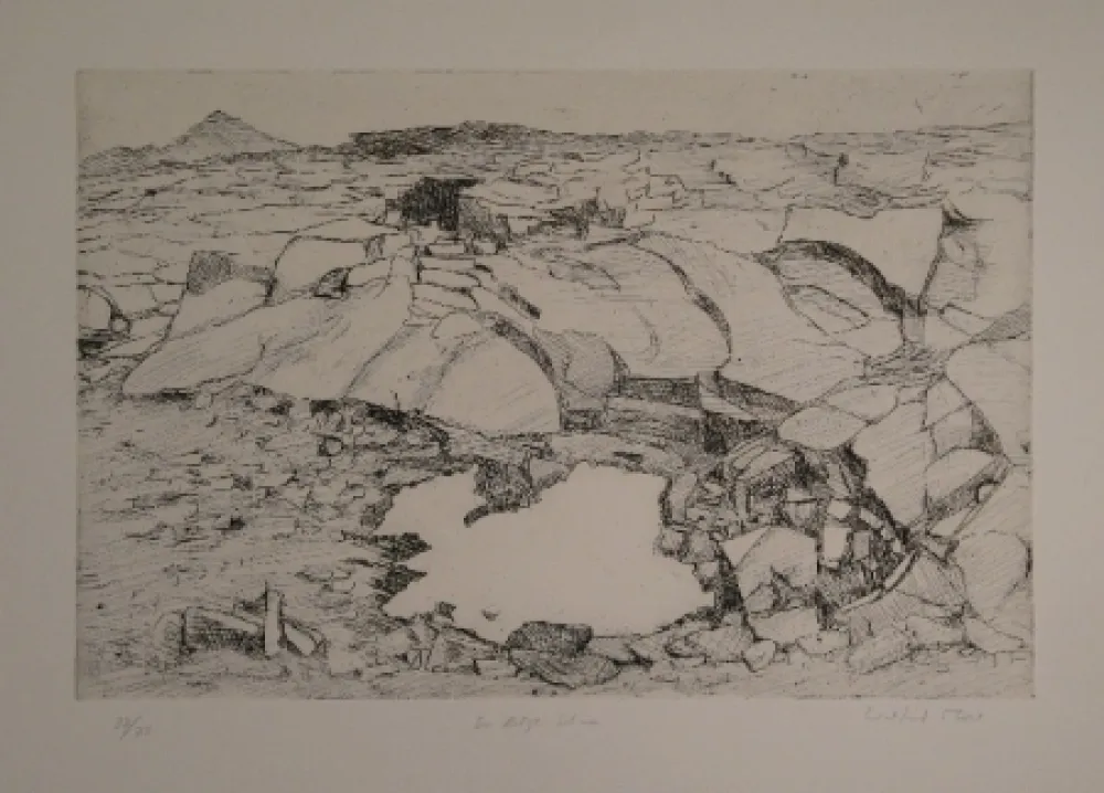 Grabado Moser - Der letzte Schnee