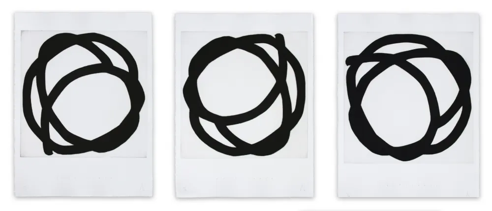 Carborundo Muckensturm - 17.2