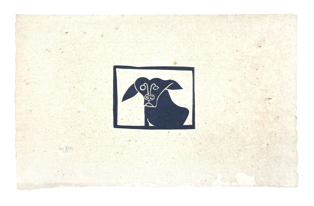 Sin Técnico Müller - SKILIA II